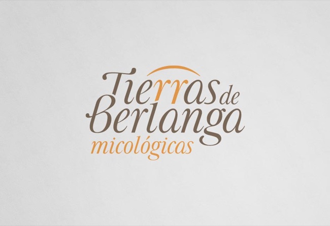 Brand design and mycological guide Tierras de Berlanga - publishing design branding illustration - 2015