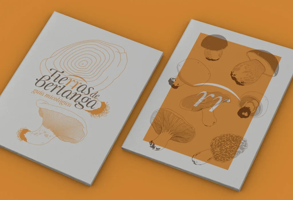 Cubiertas de la guía Tierras de Berlanga