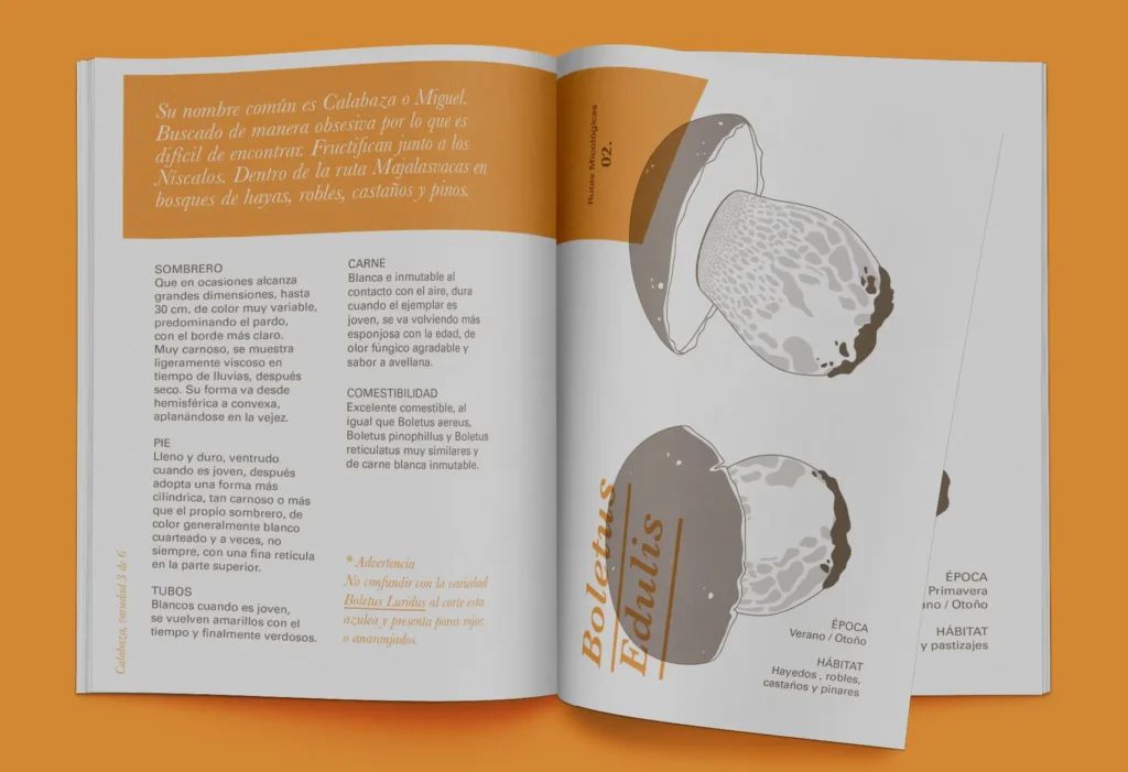 Páginas Interiores de la guía Tierras de Berlanga