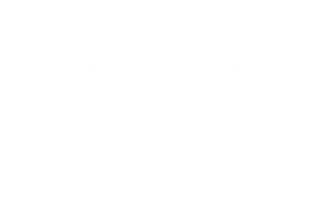 vue